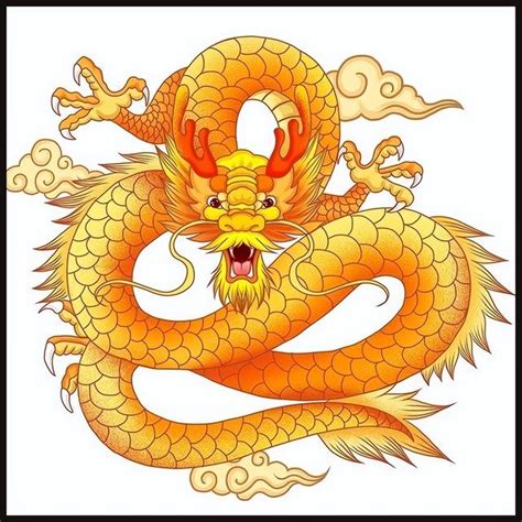 四靈獸|國學精講系列（三）：四大瑞獸：龍、鳳、麒麟和龜